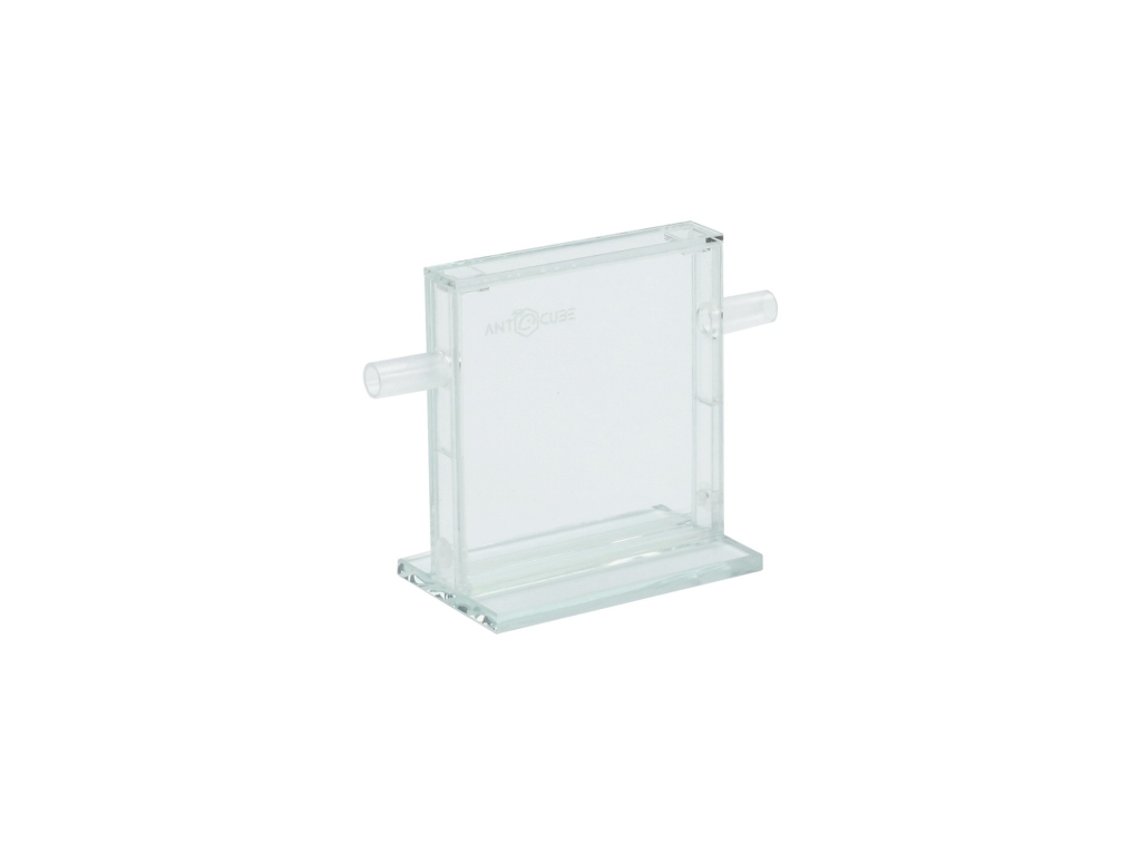 antcube - ant display 10x10 cm - M - detached